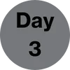 Day 3 icon black text gray background circle